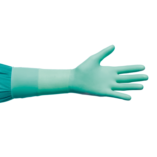 Guante Talla 6,5. Sin Polvo de Cirugía NEOPRENO Estéril 