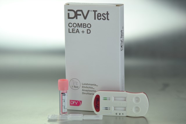 DFV TEST COMBO LEA+D