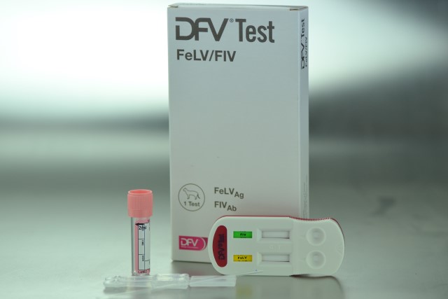 DFV TEST FeLV/FIV 