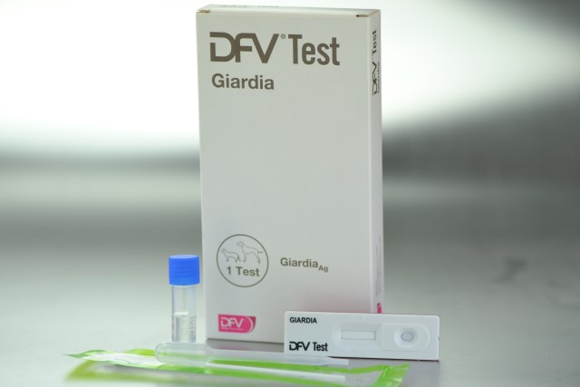 DFV TEST GIARDIA