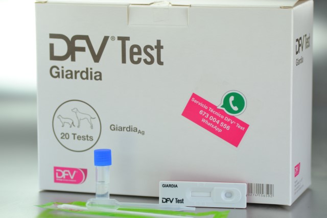 DFV TEST GIARDIA (Caja 20 unid.)