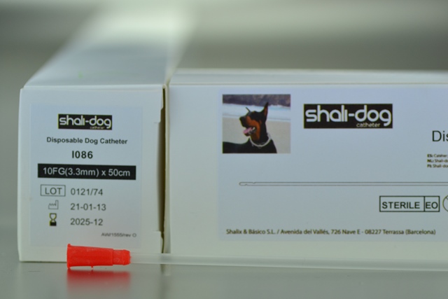 Sonda Shali-dog 3.3 mm. 10 FG. Uretral Perro