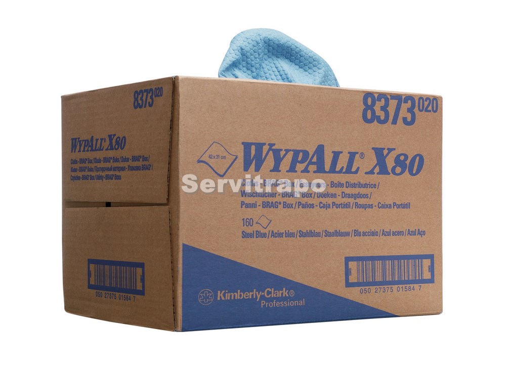 Kimberly clark wypall