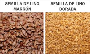 Semillas de Lino Dorado: beneficios, propiedades y cómo usarlas