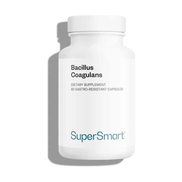 BACILLUS COAGULANS PROBIOTIC 60 CAPS SUPERSMART