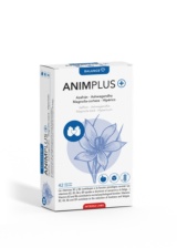 ANIMPLUS + INTERSA