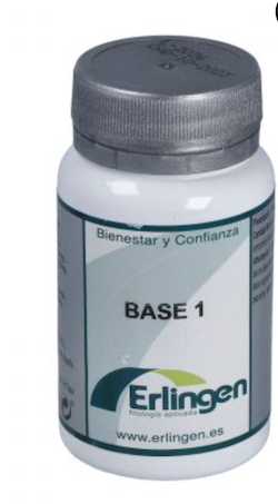 BASE 1 ERLINGEN