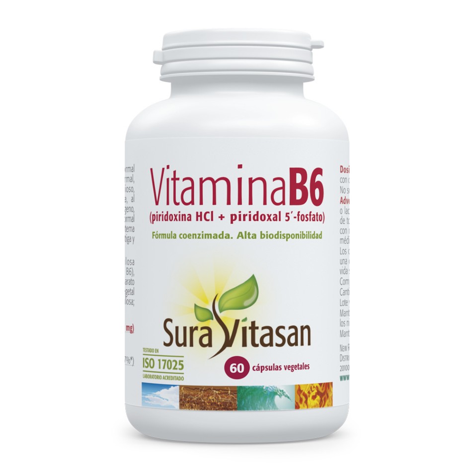 VITAMINA B6 60 CAPS SURAVITASAN