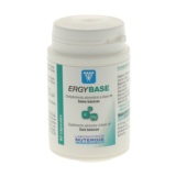 ERGYBASE SALES BASICAS 60 CAPS NUTERGIA