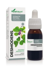 EXTRACTO DESMODENS EXTRACTO S.XXI SORIA NATURAL