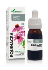 EQUINÁCEA EXTRACTO SORIA NATURAL 50 ML