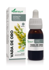 VARA DE ORO EXTRACTO S.XXI 50 ML SORIA NATURAL