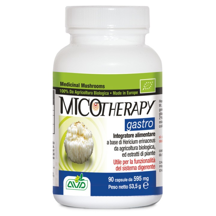 MICOTHERAPY GASTRO 90 CAPS 595 MGRS AVD REFORM