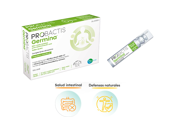 PROBACTIS GERMINA® SABOR NEUTRO 10 VIALES