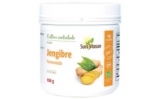 FERMENTACTIV JENGIBRE 150 GR SURA VITASAN