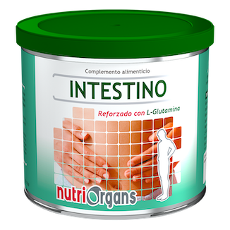 INTESTINO 256,25 GR NUTRIORGANS TONGIL