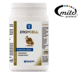 ERGYCELL 90 CAPS NUTERGIA