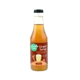 CONDIMENTO SIROPE DE JENGIBRE 250ML TERRASANA